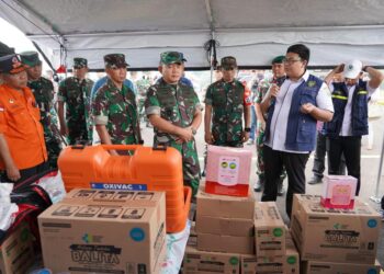 Kebakaran Hutan dan Lahan: Jenderal Dudung Abdurachman Cek Penanganan Karhutla di Sumsel