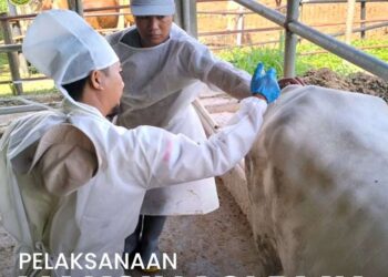 DKPP Jabar Ambil Langkah Cepat Atasi Kasus PMK